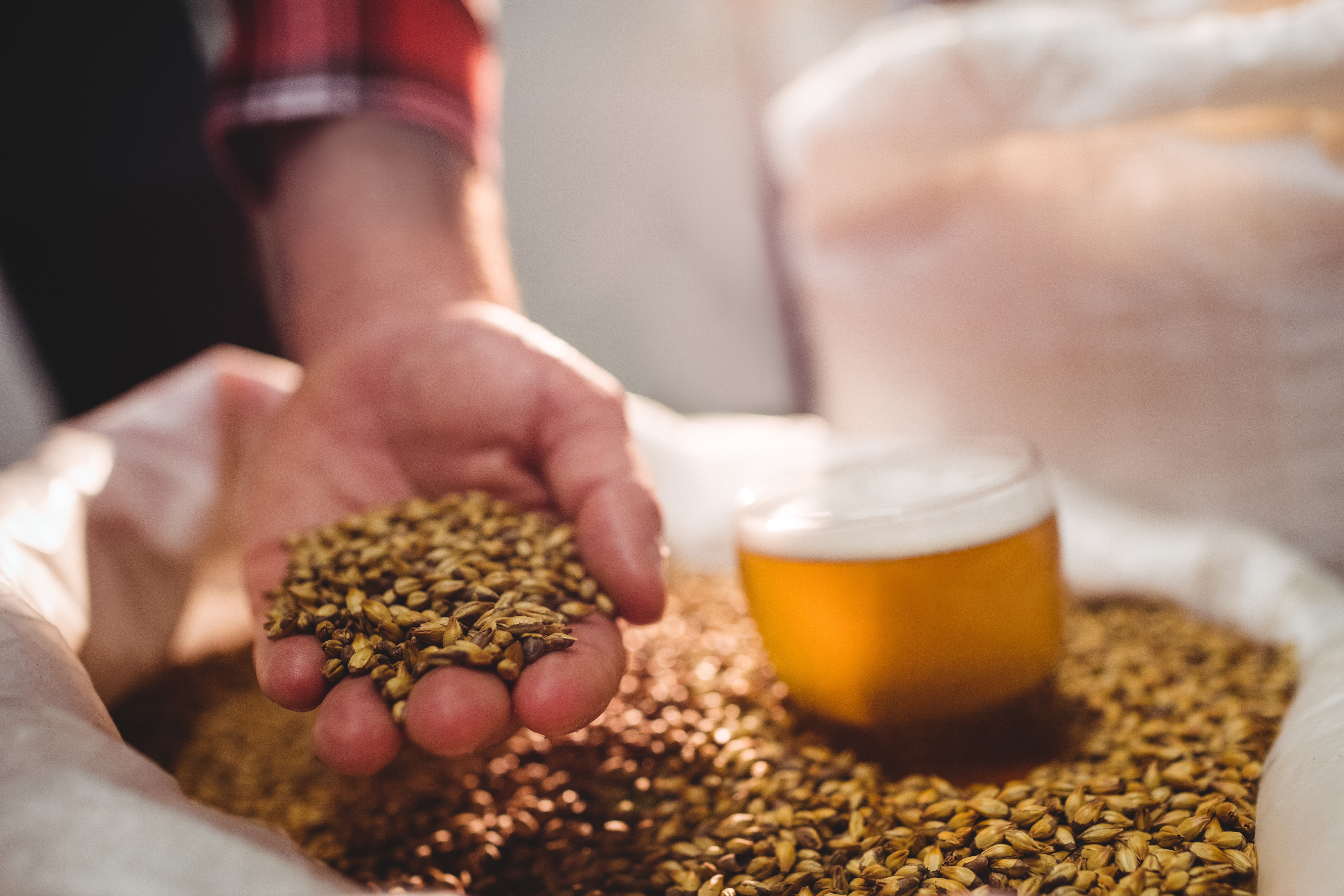 food and beverage ultrafiltration